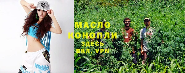 крисы Козельск