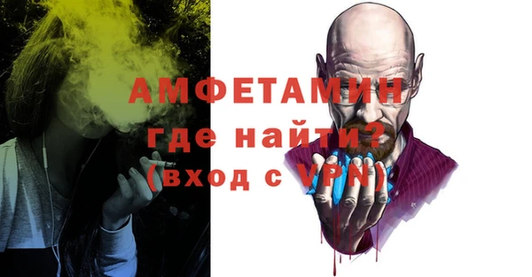 крисы Козельск
