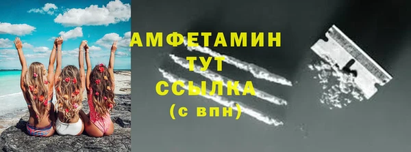 крисы Козельск