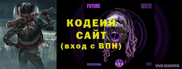 крисы Козельск
