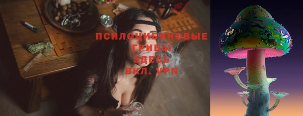 крисы Козельск