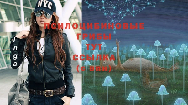 крисы Козельск