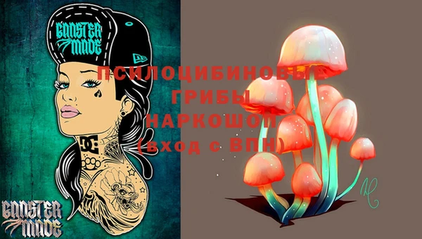 гидропоника Козловка