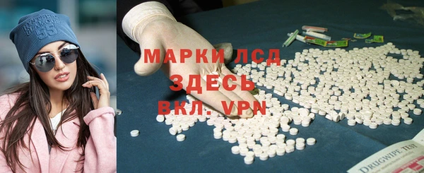 крисы Козельск