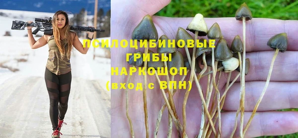крисы Козельск