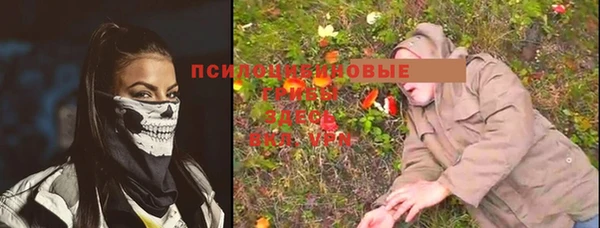 гидропоника Козловка