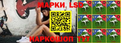 крисы Аргун