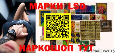 крисы Аргун