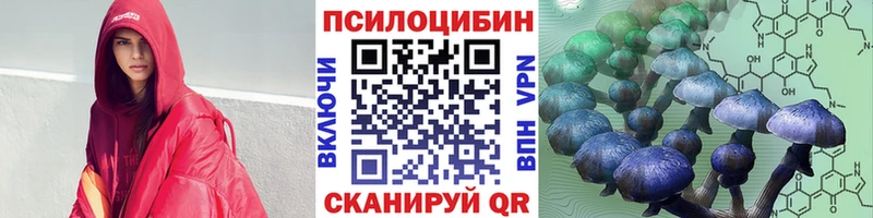 Псилоцибиновые грибы прущие грибы Грозный