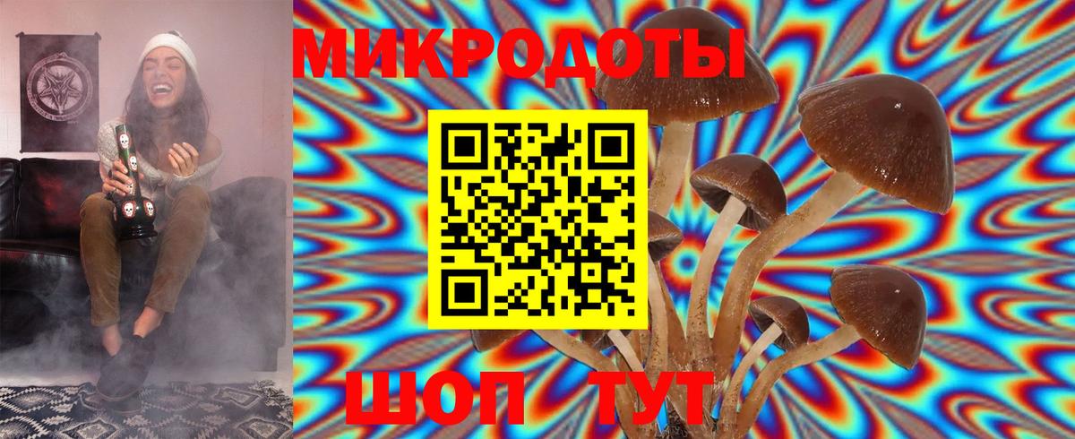 Галлюциногенные грибы Psilocybine cubensis  Вход с VPN  Грозный 