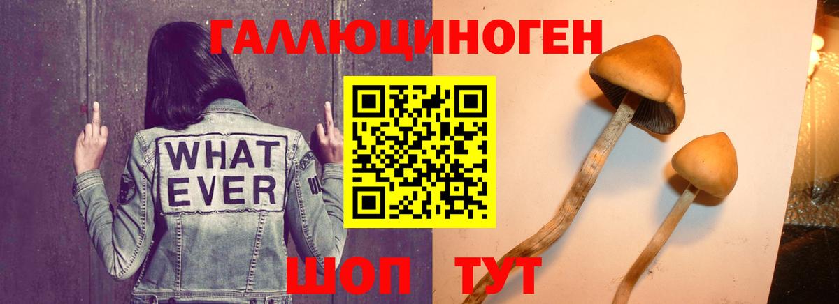 Псилоцибиновые грибы MAGIC MUSHROOMS Грозный