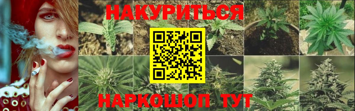 Конопля SATIVA & INDICA  МАРИХУАНА OG Kush  Конопля LSD WEED  Грозный 